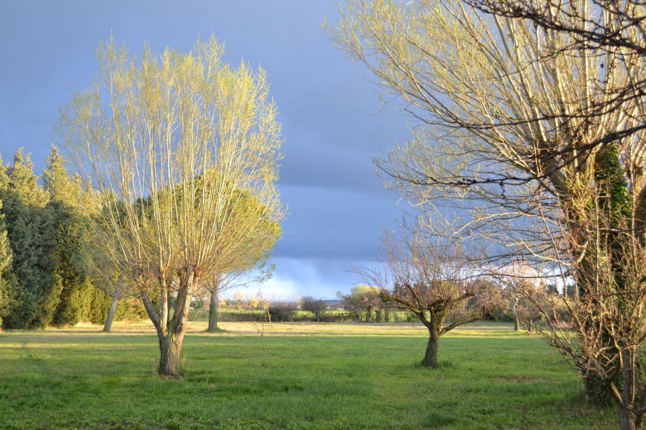 Chambres d hôtes de charme dans Mas La Souvine du 17ème, chambres climatisées Bédarrides Extérieur photo